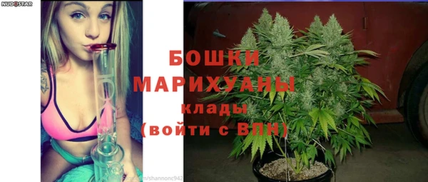 бошки Снежногорск
